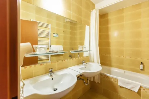 Kúpeľňa v apartmáne v hoteli Senec